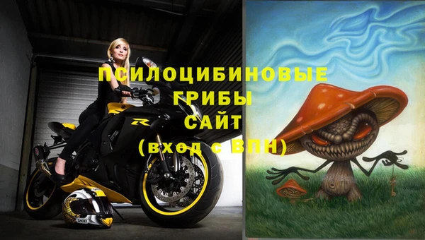 первитин Осташков